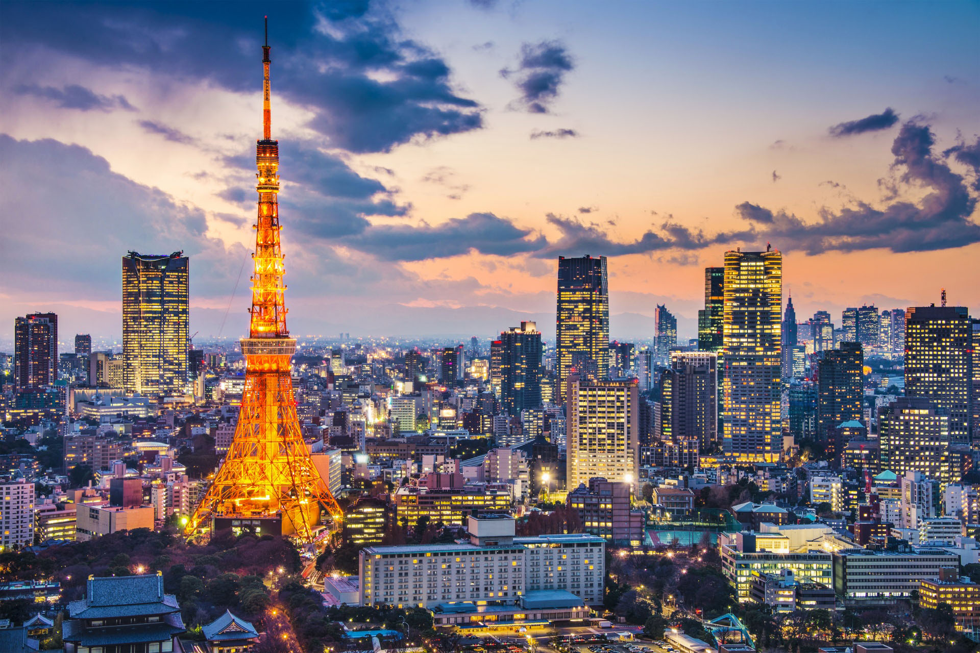 東京タワーと東京の風景