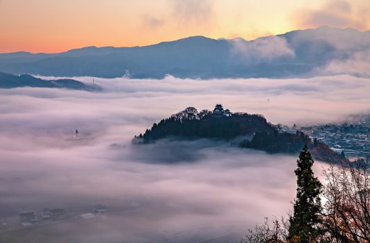 雲海に浮かぶ城　天空の城 越前大野城　福井の風景