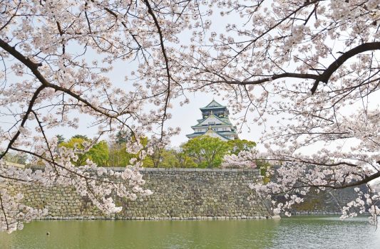 桜と大阪城　大阪の風景