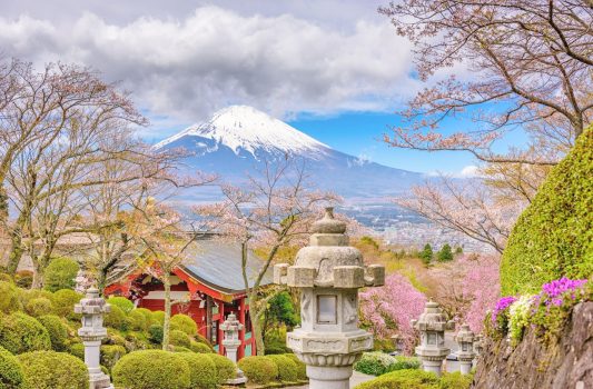 春の御殿場市　平和公園と富士山　静岡の風景