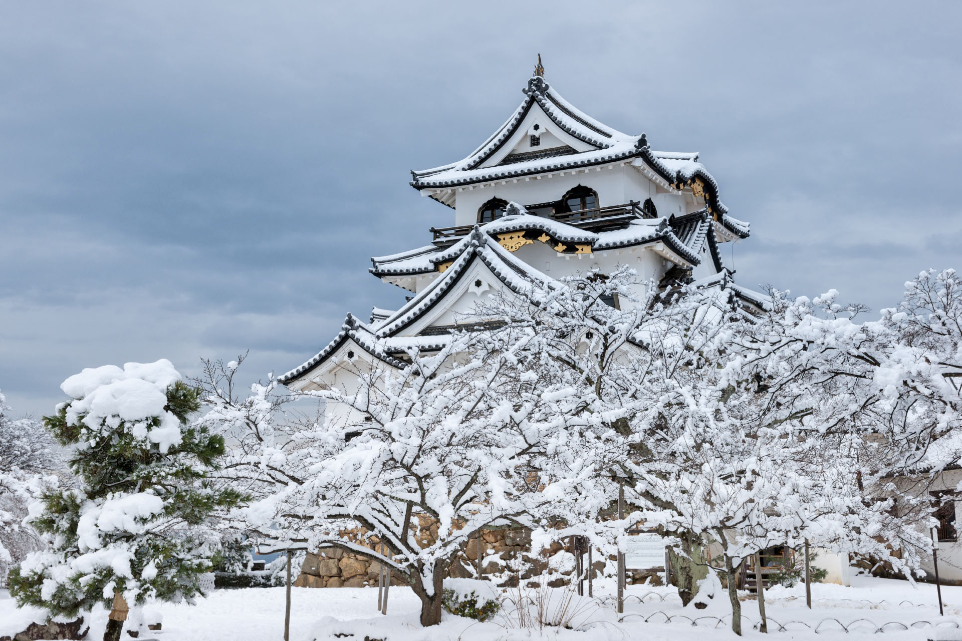 冬の彦根城　滋賀の風景