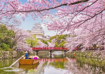 春の姫路城　桜と姫路城の風景　兵庫の風景