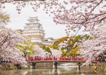 白鷺城と桜の風景　姫路城　兵庫の風景
