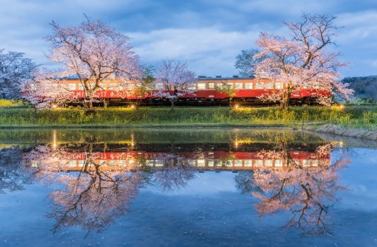小湊鉄道と桜の風景　千葉の風景