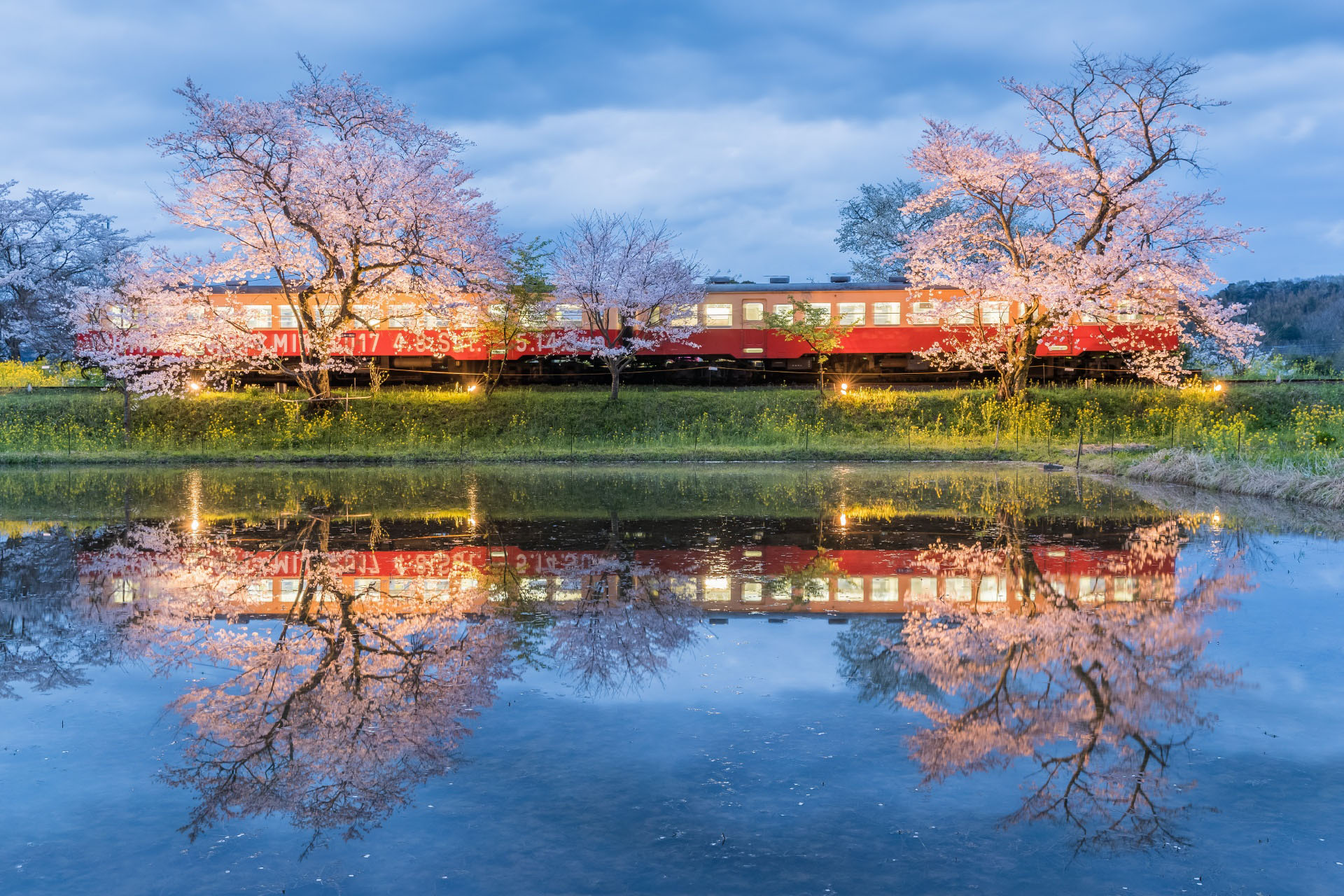 小湊鉄道と桜の風景　千葉の風景