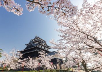 春の松江城　島根の風景