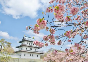 松前城と桜　北海道の風景