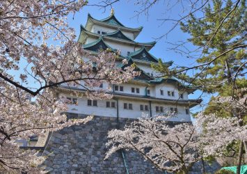 名古屋城と桜　愛知の風景