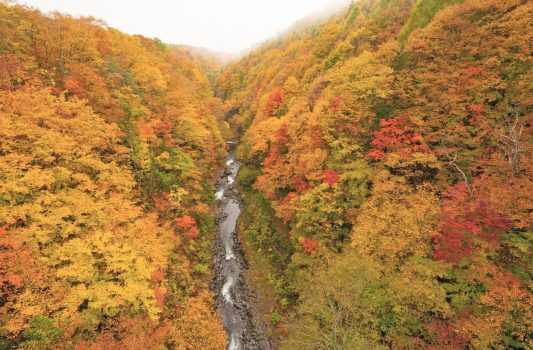 中津川橋から見る秋の中津川渓谷の紅葉　福島の風景