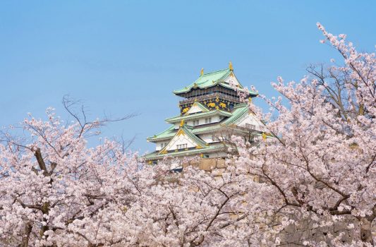 日本の春の風景　桜と大阪城　大阪の風景