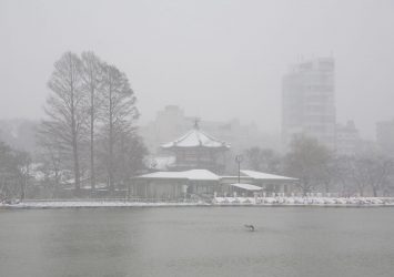 雪の日の不忍池の風景　東京の風景