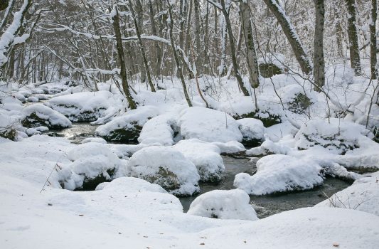 冬の奥入瀬渓流　青森の風景