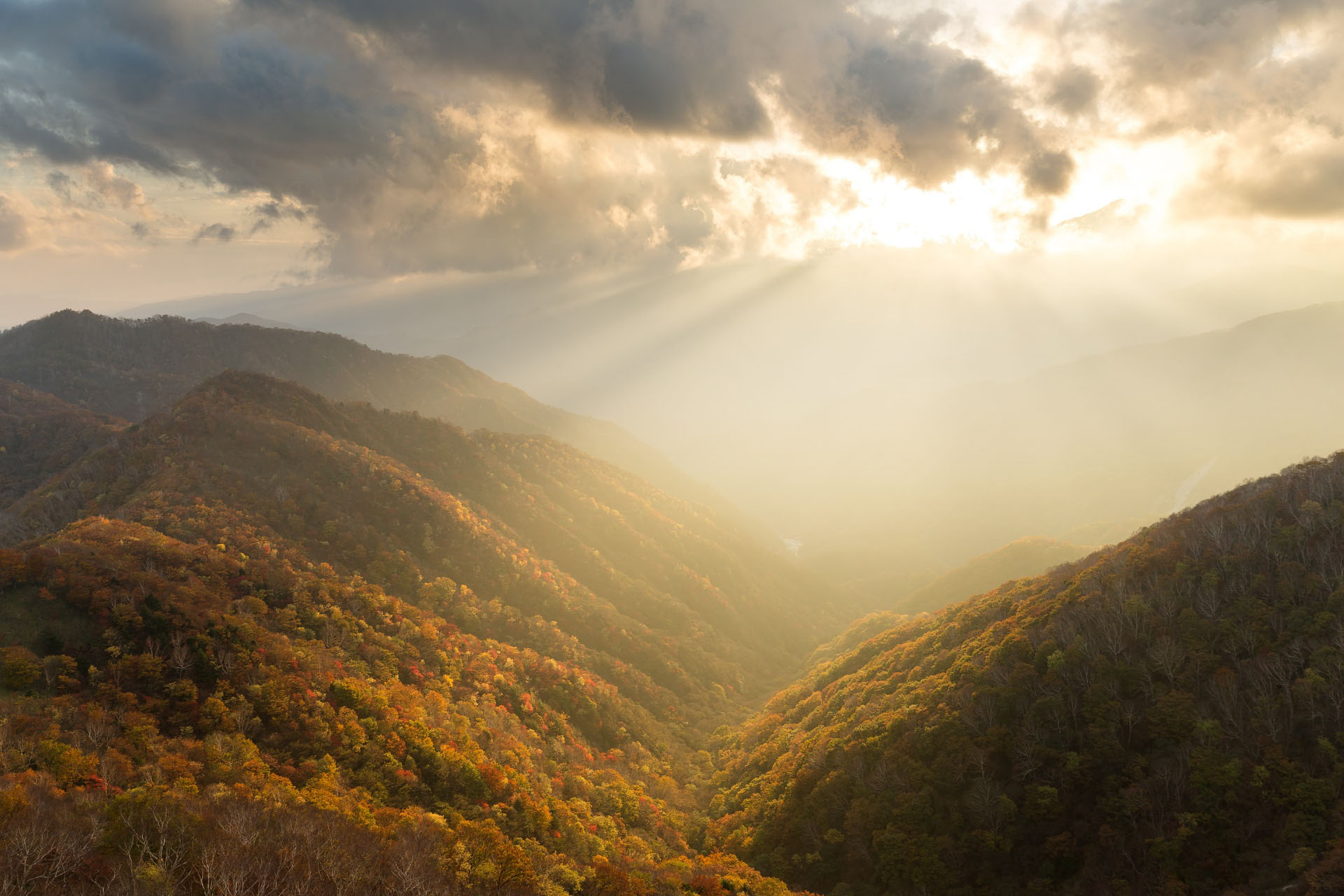 秋の奥日光　夕暮れの半月山展望台からみる風景　栃木の風景