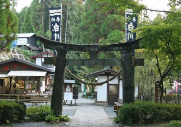 白川吉見神社　熊本の風景