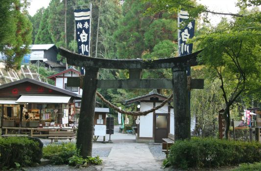 白川吉見神社　熊本の風景