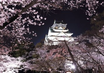 夜の大阪城と桜　大阪の風景