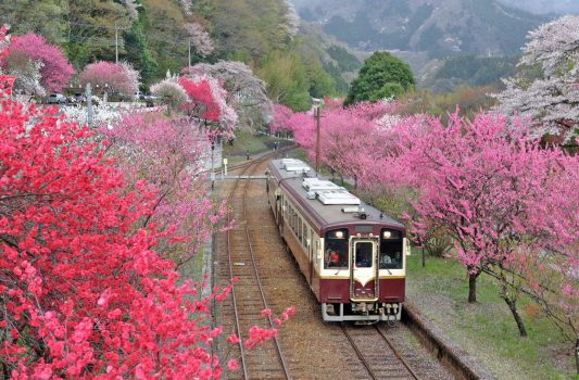 春の神戸駅（ごうどえき）の風景　群馬の風景