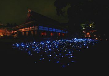 青蓮院門跡　夜の京都の風景