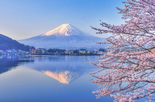河口湖と桜と富士山　山梨の風景