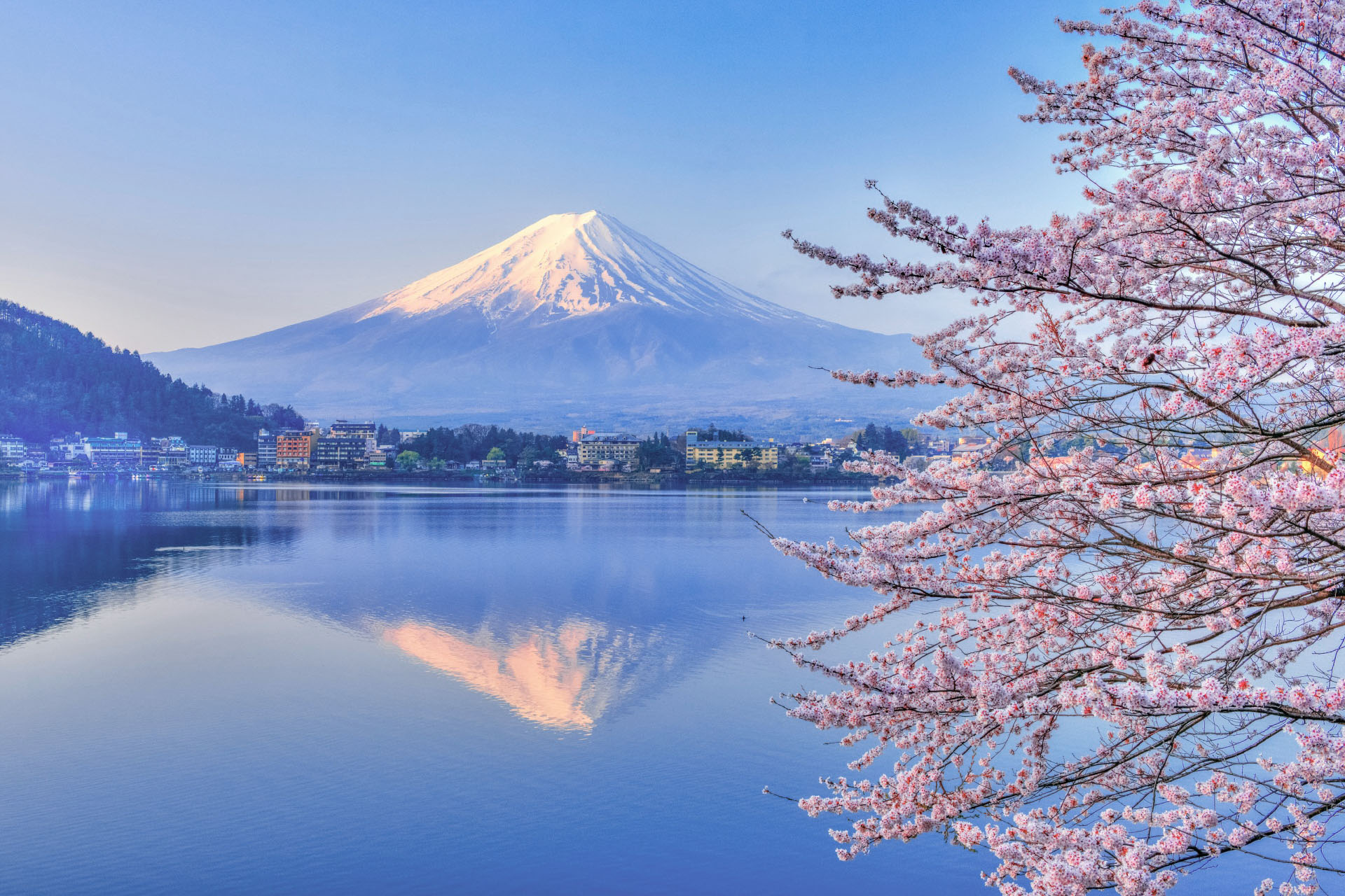 河口湖と桜と富士山 山梨の風景 Japan Scene 日本の風景