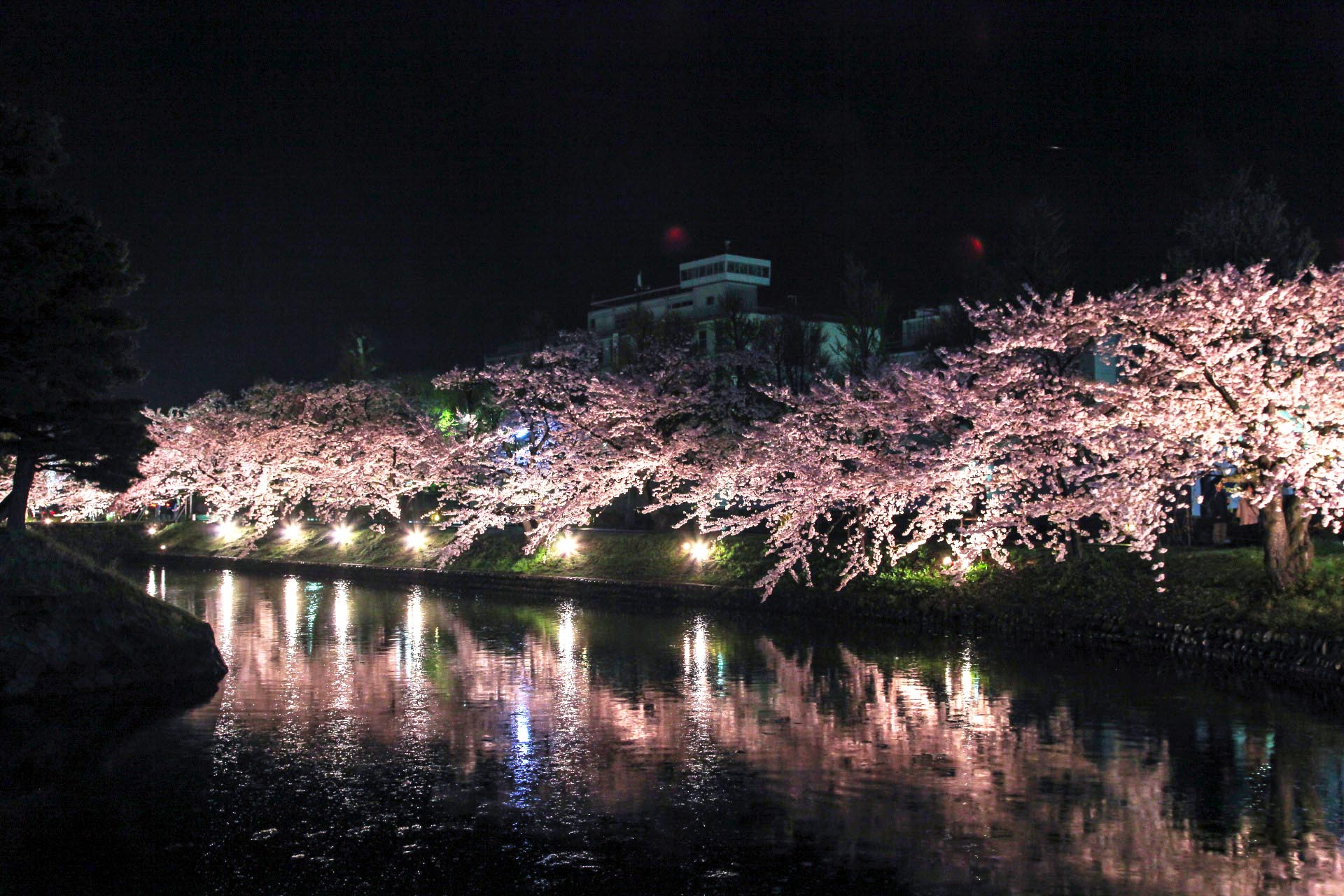 松本城のお堀と夜桜の風景　長野の風景