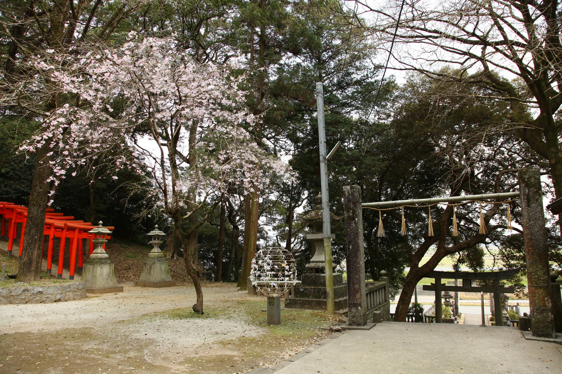 春の若八幡神社　福岡の風景