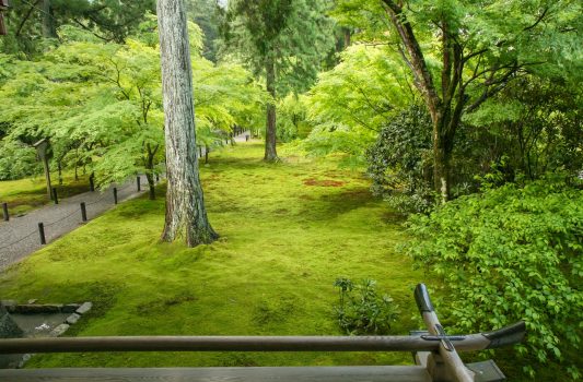 京都　大原三千院の風景　京都の風景