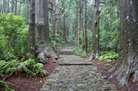 熊野古道の風景　和歌山の風景