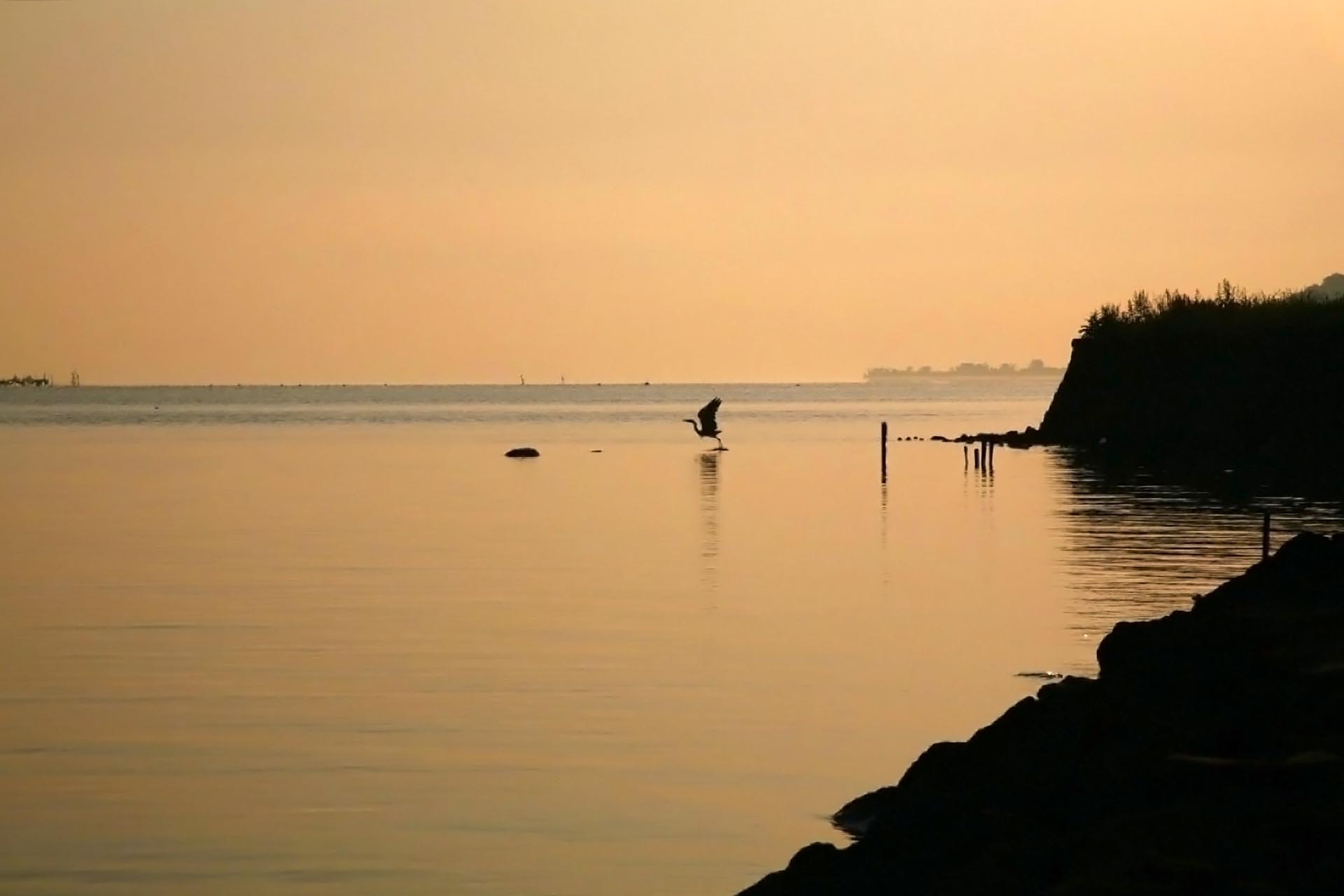 朝の宍道湖　島根の風景