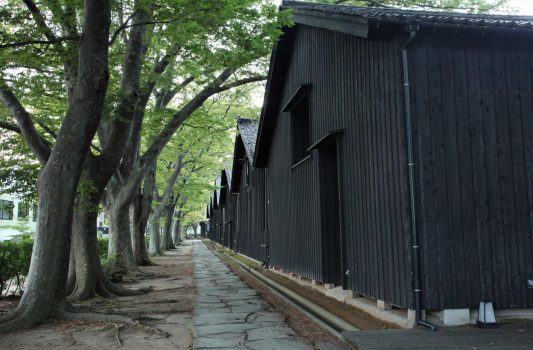 山居倉庫とケヤキ並木の風景　山形の風景