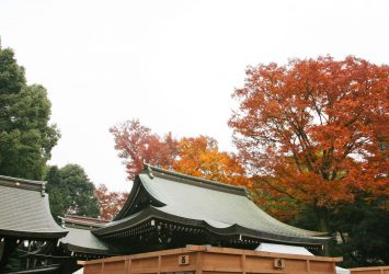 秋の川越氷川神社　埼玉の風景