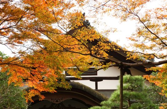 秋の金峯山寺　奈良の風景