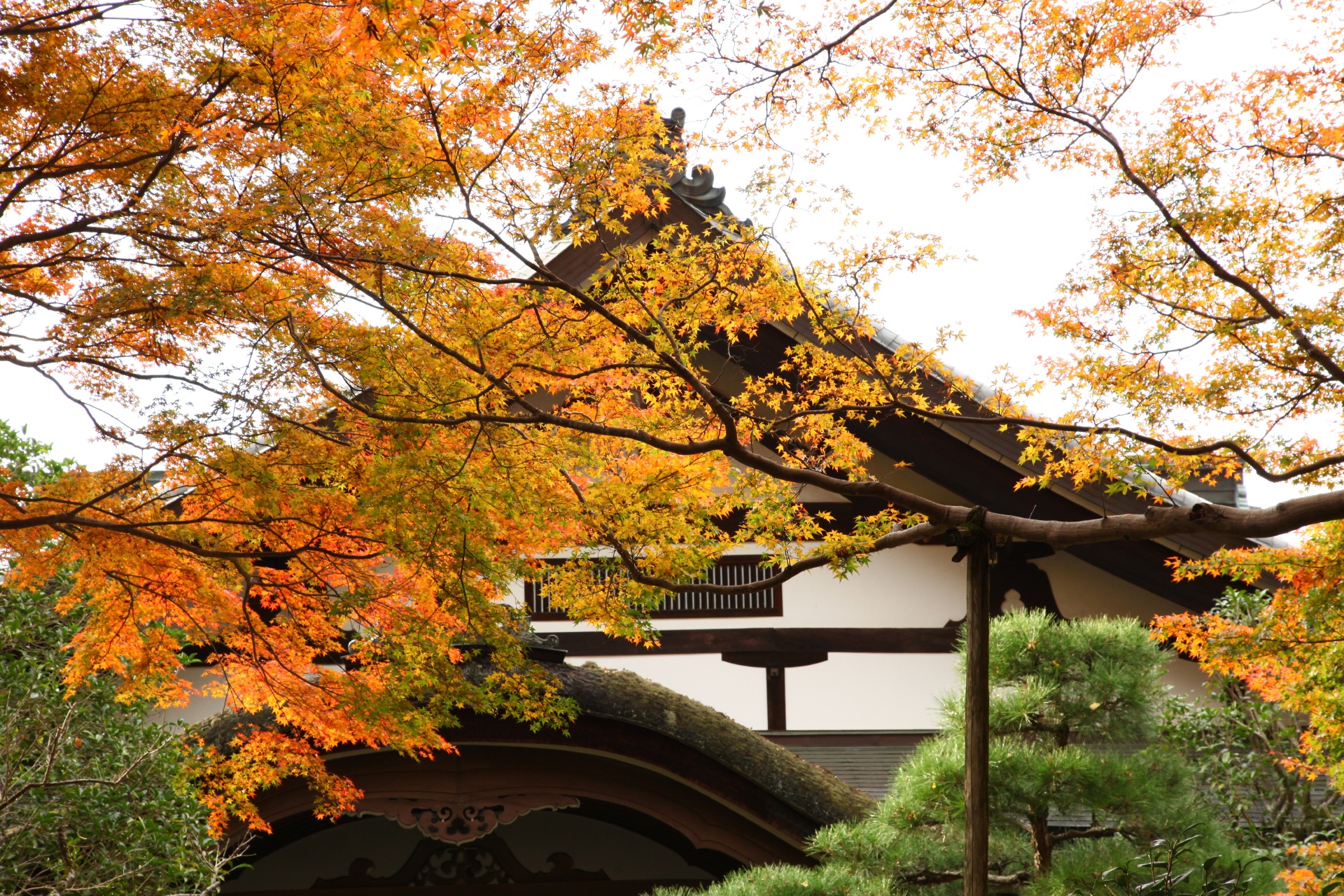 秋の金峯山寺　奈良の風景