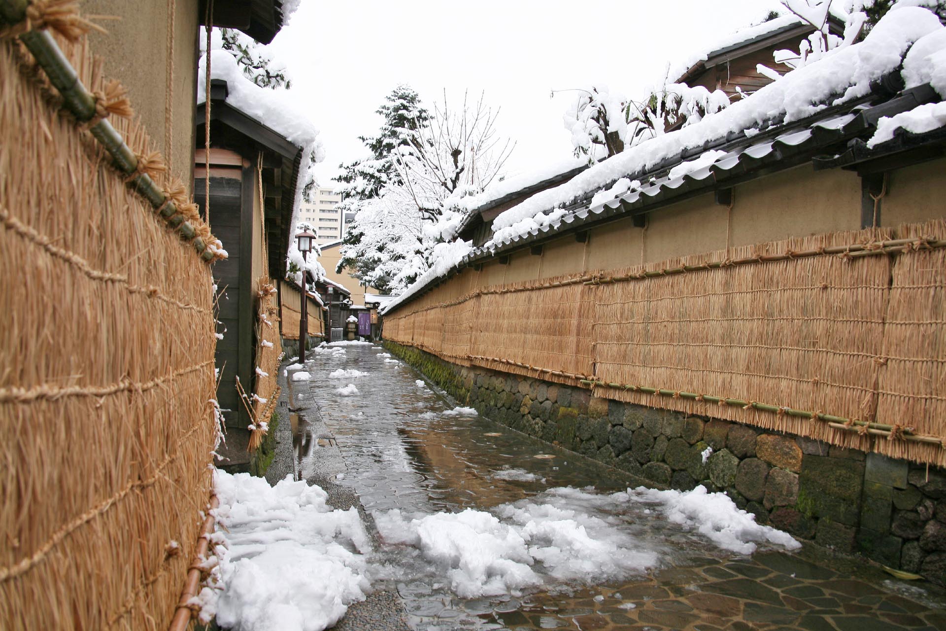 雪の金沢　「長町武家屋敷通り」の風景　冬の石川の風景