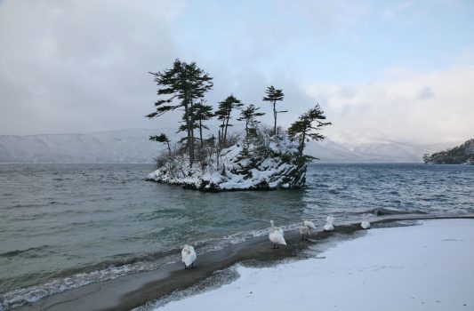 冬の朝の十和田湖　青森の風景