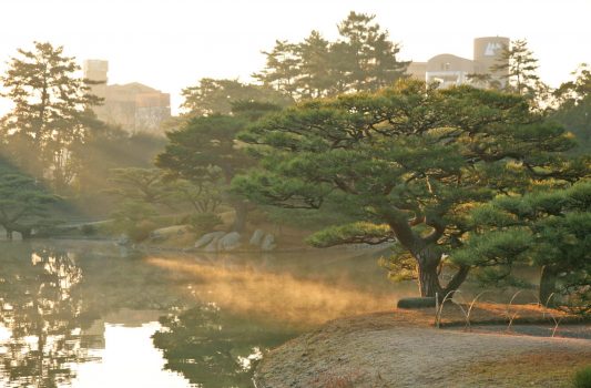 冬の朝の栗林公園　香川の風景