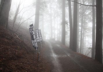 霧の中の玉置神社参道　奈良の風景