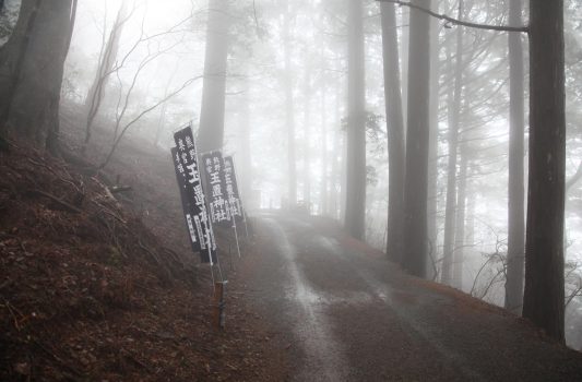 霧の中の玉置神社参道　奈良の風景