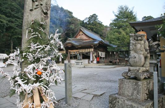 日本の正月の風景　和霊神社　愛媛の風景
