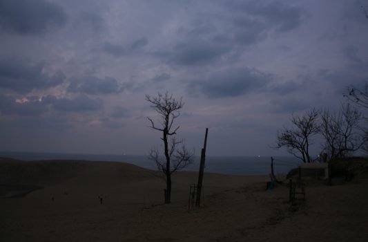 夕暮れの鳥取砂丘　鳥取の風景