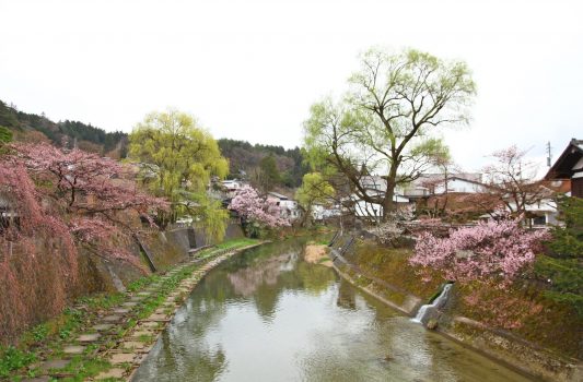 春の飛騨高山　岐阜の風景
