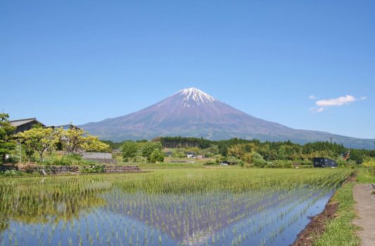 富士山のある風景　静岡の風景