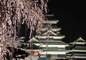夜の松本城と桜の風景　長野の風景