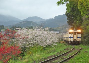春の飫肥　宮崎の風景