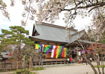 中尊寺の桜　岩手の風景