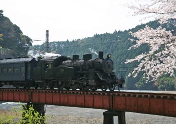 桜と大井川鉄道　静岡の風景