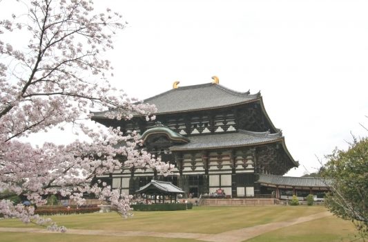 桜と東大寺　奈良の風景