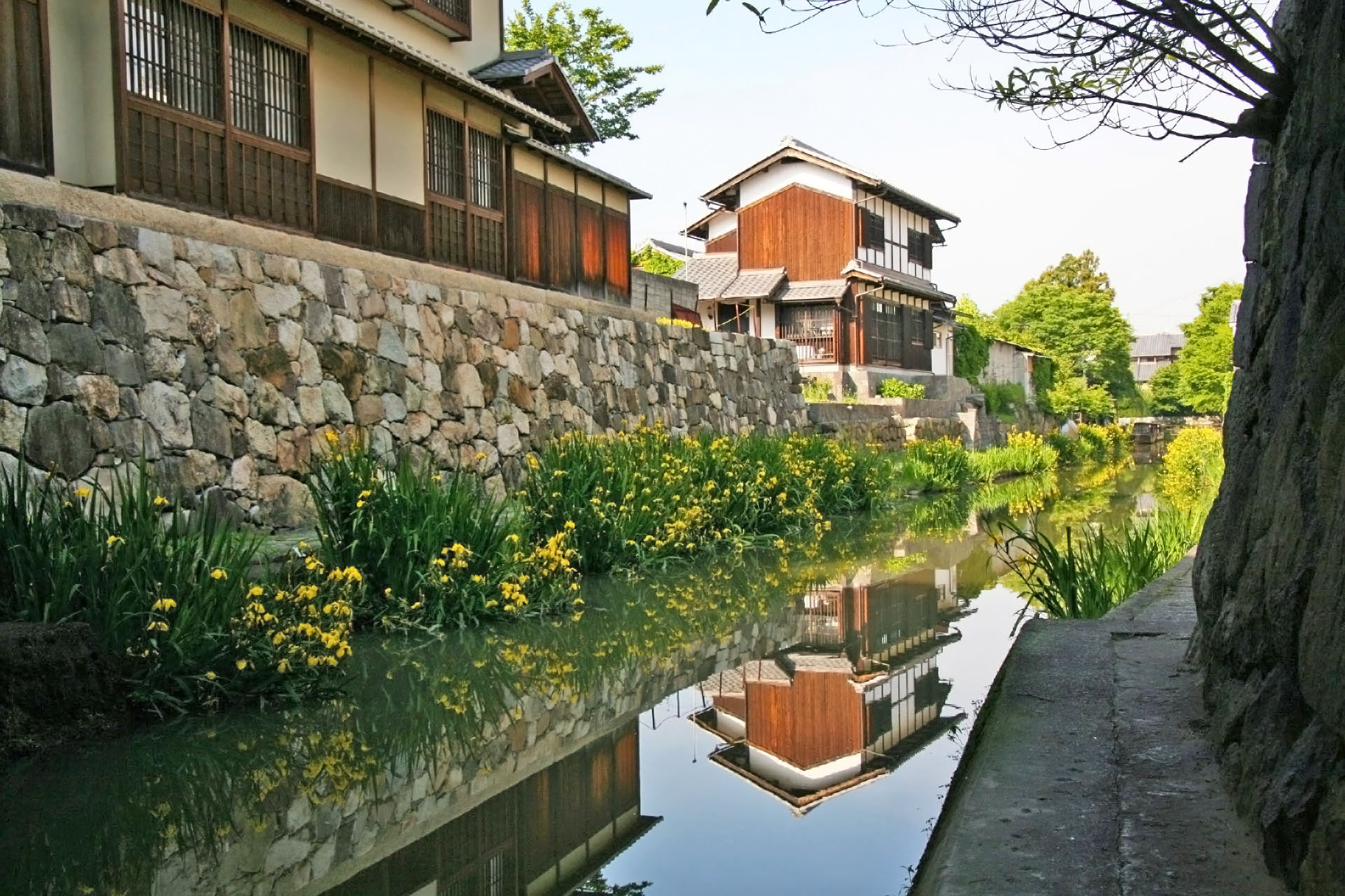 五月の近江八幡　滋賀の風景