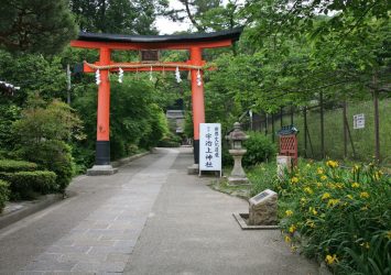 五月の京都　宇治上神社　京都の風景