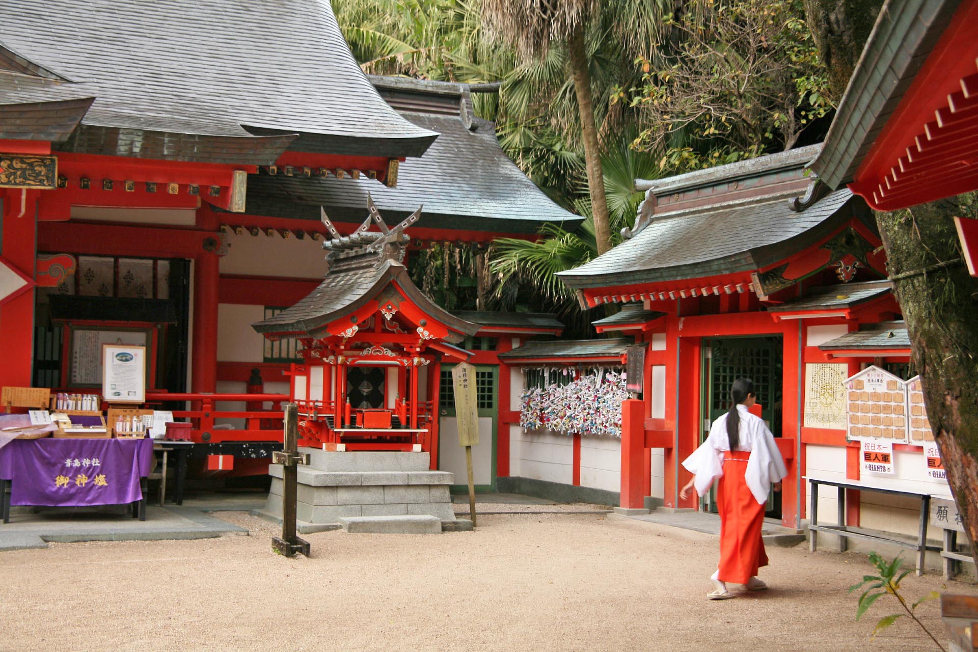 青島神社　宮崎の風景